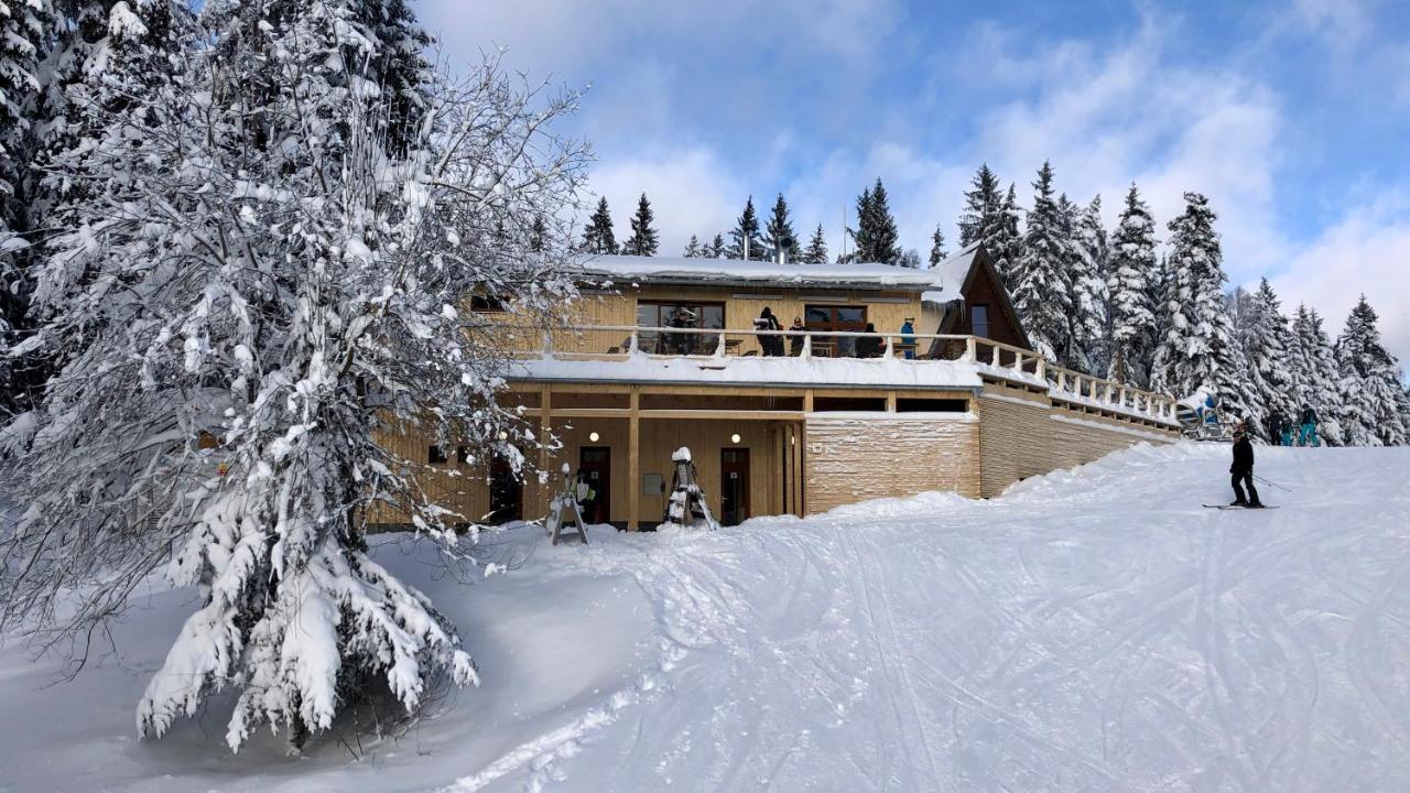 Apartmány Doky - PLA Lipno nad Vltavou Exterior foto